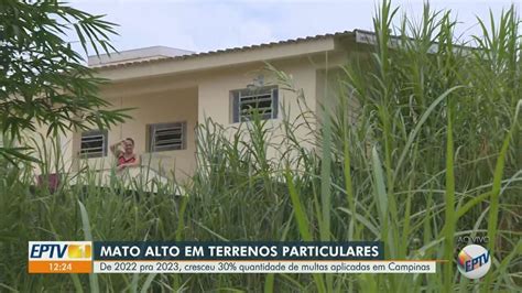 Campinas Registra Aumento De 30 Em Multas A Donos De Terrenos Mato