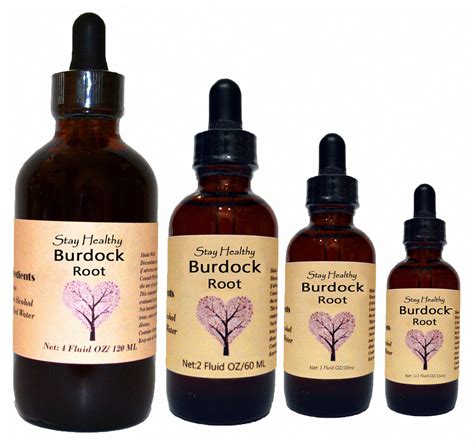 Burdock Root Liquid Herbal Extract Premium Quality Tincture Etsy