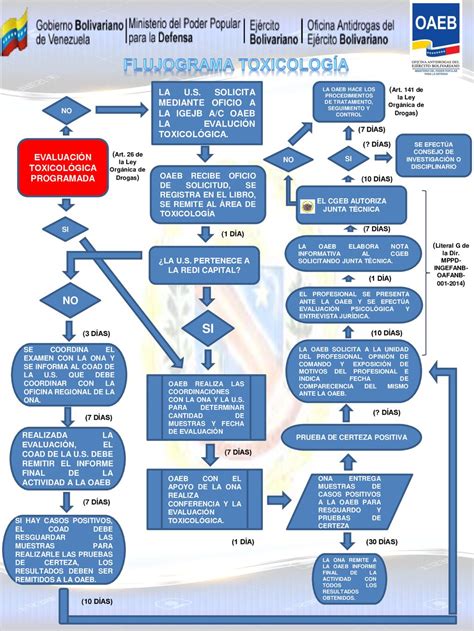 Flujograma Toxicolog A Ppt Descargar