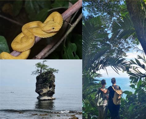 Manzanillo Wildlife Refuge - Life, Culture & Travel Costa Rica