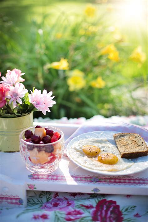 Free Images Morning Flower Summer Meal Food Produce Plate