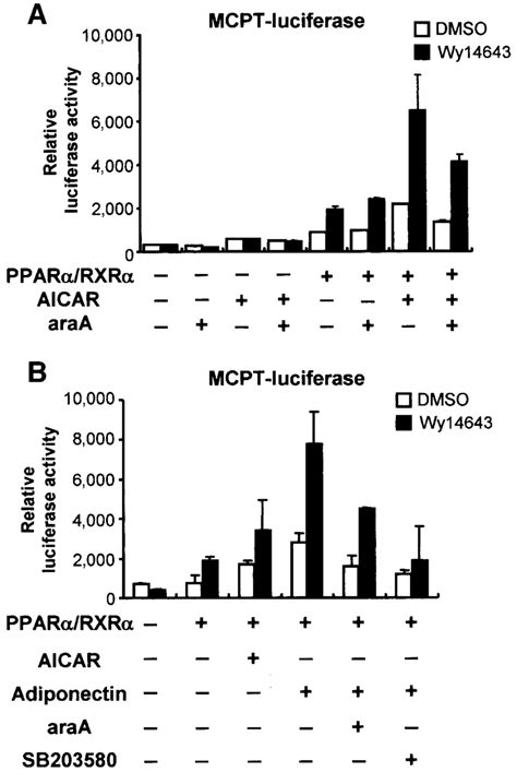 Adiponectin Increases Ppar Transcriptional Activity Via Ampk And P38