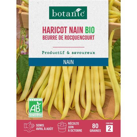 Graines D Haricot Nain Beurre De Rocquencourt Bio Botanic Graines