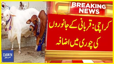 Karachi Mai Qurbani Kay Janwaron Ki Chori Ki Wardaton Mai Izafa