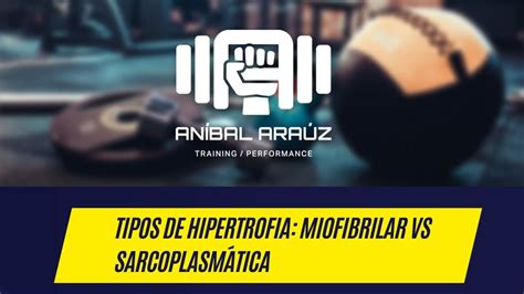 Tipos De Hipertrofia Miofibrilar Vs Sarcoplasm Tica Youtube