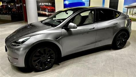 Model Y Dm