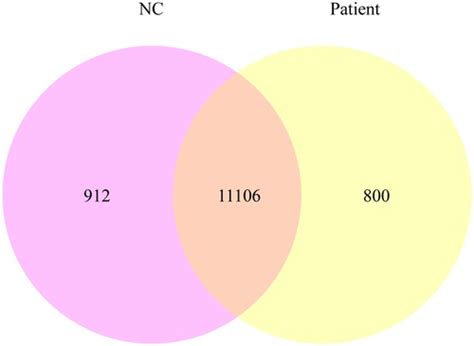 Frontiers A Case Of Malonyl Coenzyme A Decarboxylase Deficiency With