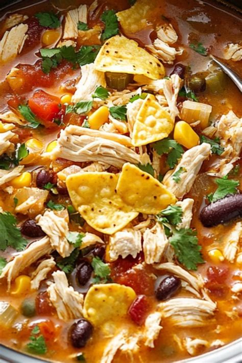 Slow Cooker Chicken Tortilla Soup Recipe | JustWorthi