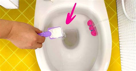 Top 83 Imagen Astuce Pour Nettoyer Le Fond Des Toilettes Fr