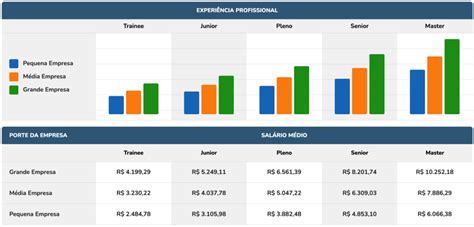 Engenheiro De Software O Que Faz Quanto Ganha