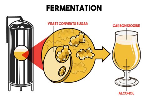 Kit Brewing Temperature Control Home Brew Republic