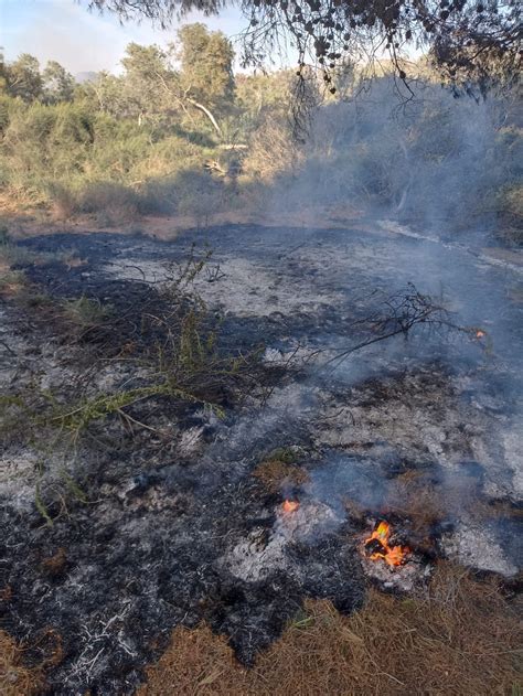 Riparte L Incendio Nella Riserva Naturale Di Santa Croce Camerina Il