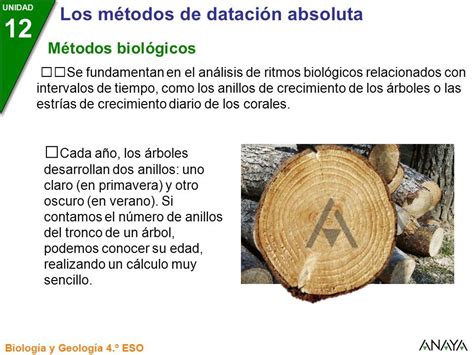 Unidad La Historia De La Tierra Biolog A Y Geolog A Eso Los