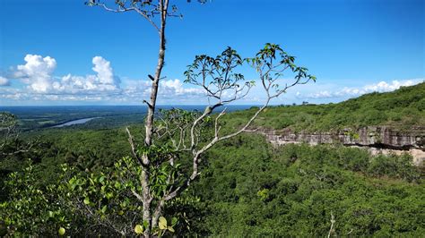 Sound recording expedition: Amazon tepui mountains- earth.fm