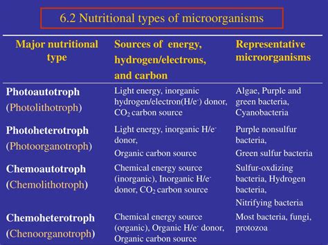 Nutritional Forms Of Microorganisms With Diagram