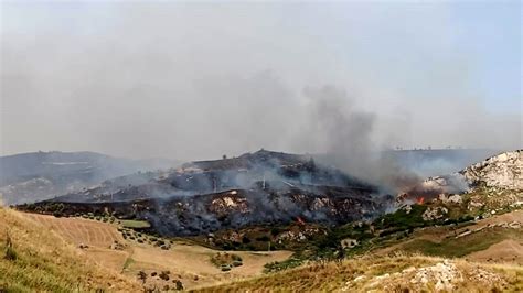 Incendi A Petralia Soprana Il Sindaco Danni Ingenti Abbiamo Dovuto