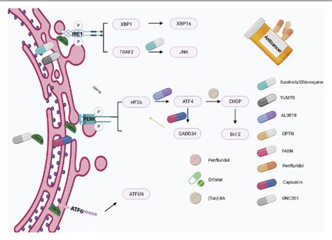 Figure From Emerging Role Of Exosomal Derived Long Noncoding Rnas In