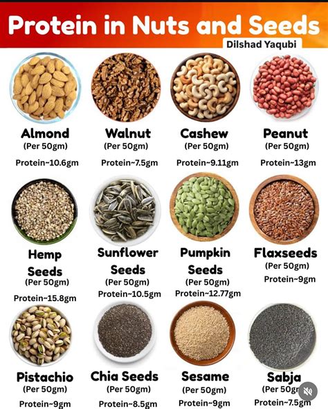 Best 13 Legumes Vs. Nuts: The Differences – Artofit