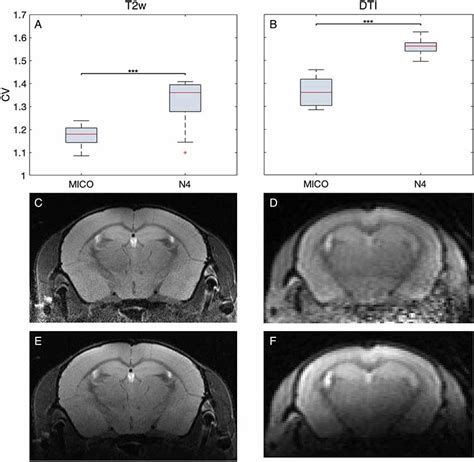 Frontiers Processing Pipeline For Atlas Based Imaging Data Analysis