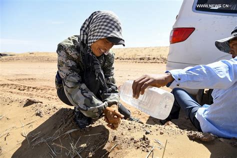 Desertification Control Team Works Along First Desert Highway In