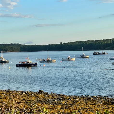 Lamoine State Park Campground Lamoine Maine