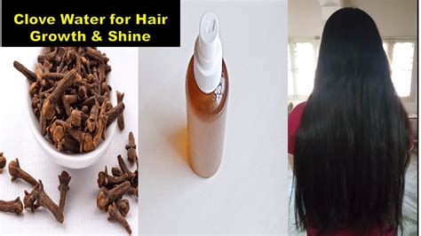 Clove Water For Fast Hair Growth And Shiny Hair Double Hair Growth