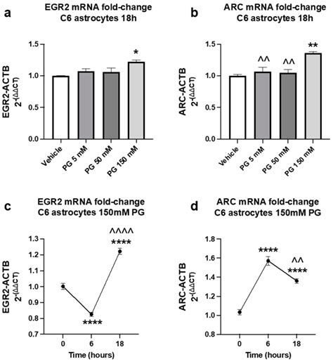 Rat C6 Glioma Cell Line ATCC Bioz