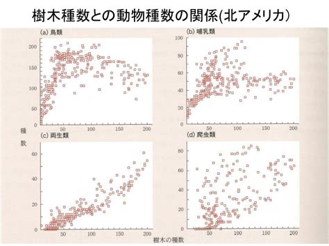 Ppt 生物多様性とは？ Powerpoint Presentation Free Download Id 3367706