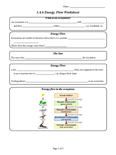 1 4 6 Energy Flow Worksheet Food Web Systems Biology