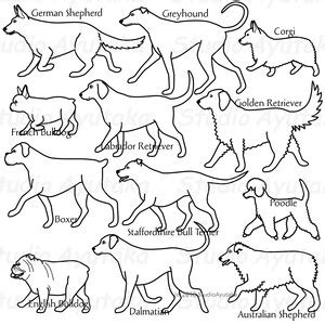 Dog Side View Bundleoutline, 1svg, 12png, Walking Dogs, 12 Breeds - Etsy