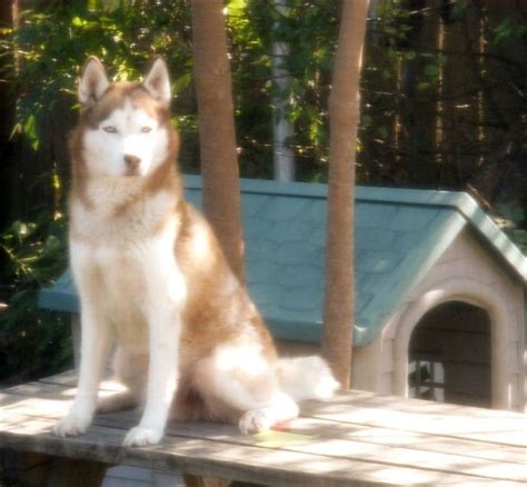 !Chase Denver Julian Photos Page