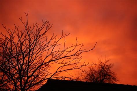 Free Images Landscape Tree Nature Branch Cloud Sun Sunrise