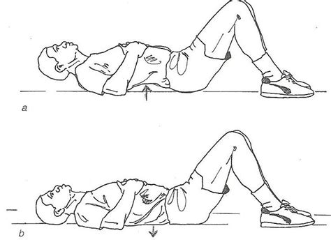 Supine Lumbar Stabilization Exercises Pdf Carie Arroyo