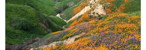 Chino Hills State Park