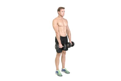 Gain Muscle Mass Using Only Dumbbells With 10 Demonstrated Exercises