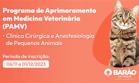 Programa De Aprimoramento Em Medicina Veterin Ria Pamv Cl Nica