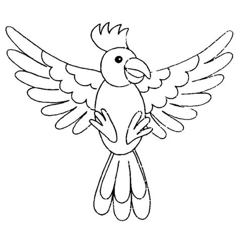 Coloriage Oiseau Perroquet dessin gratuit à imprimer