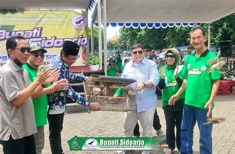 Data Juara Piala Bupati Sidoarjo Minggu Januari Burungnews