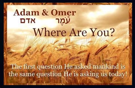 What If Any Is The Connection Between Adam And Omer · Mini Manna Moments