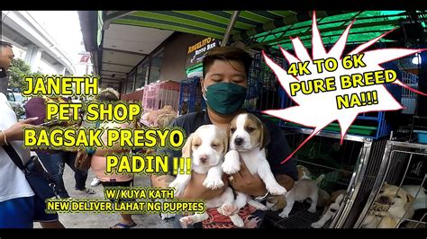 Arranque Petshop Paubos Sale Janeth Pet Shop Bagsak Presyo Ulit New