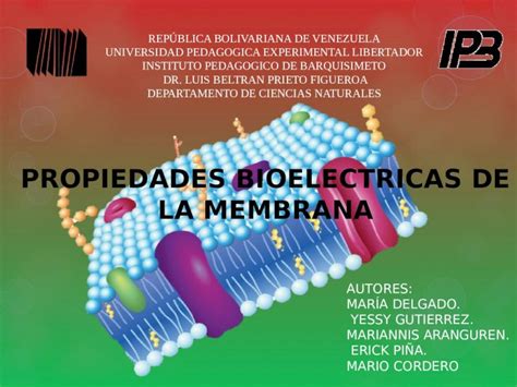 Pptx Propiedades Bioel Ctricas De La Membrana Plasm Tica Dokumen Tips