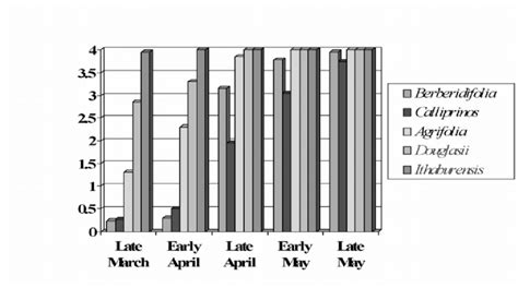 Bud Burst Averages Over Time For Different Species 1 Download