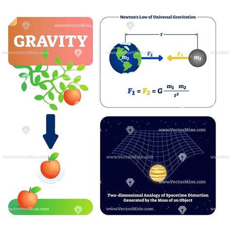 Gravity Explanation Diagram With Formula Physics Gravitation Concept