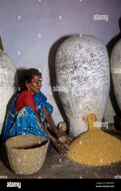 Traditional Storage Of Grain Rice Paddy Tamil Nadu South India India