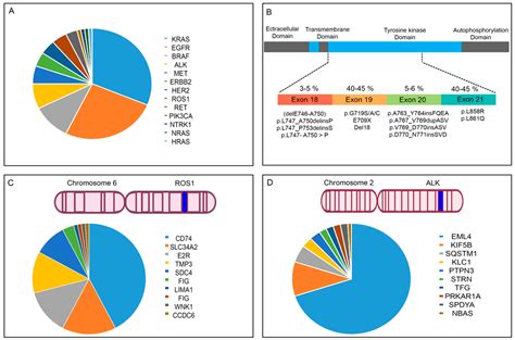 Cancers Free Full Text The Role Of Genomics And Proteomics In Lung