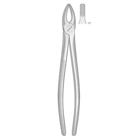 Forceps Incisivo Y Canino Superiores