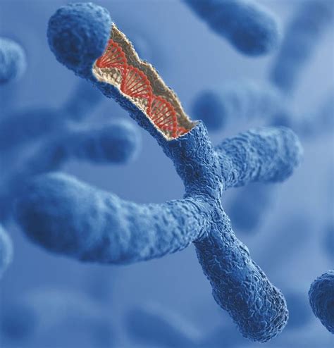 An Image Of Some Blue And Red Cells