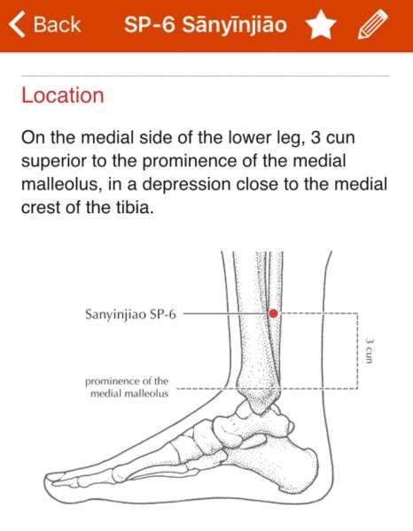 Acupressure For Good Sex — Cicuto Acupuncture