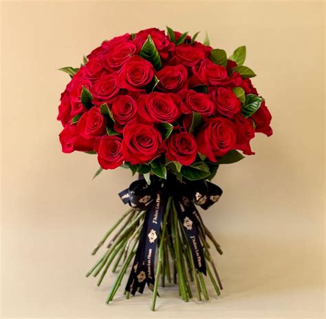 Send New Arrival Flowers To Los Angeles By Jlf Designers