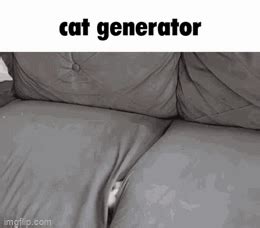 cat generator - Imgflip